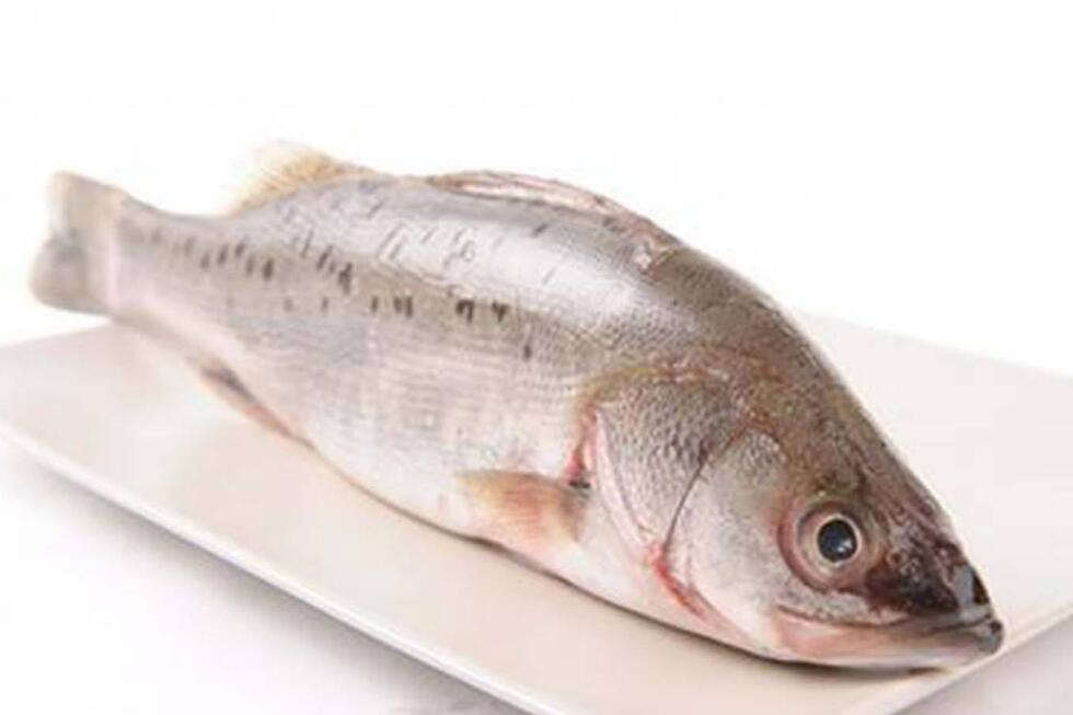 海鲈鱼价格一斤多少钱